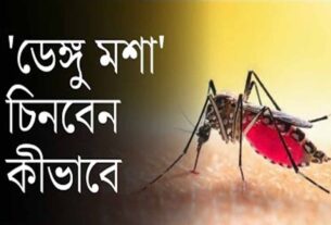 ডেঙ্গু (Dengue) এডিস মশা কামড়ালেই কী ডেঙ্গু হবে