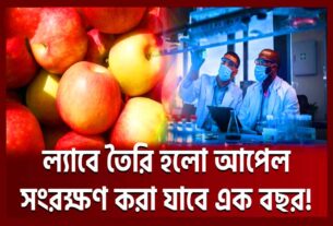 যেভাবে আপেল তৈরি হলো গবেষণাগারে Lab Made Apple