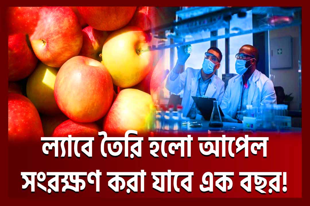 যেভাবে আপেল তৈরি হলো গবেষণাগারে Lab Made Apple